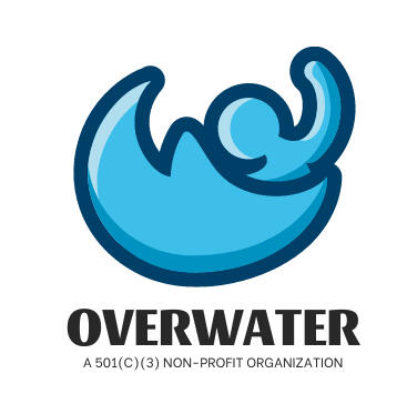 overwater raises money to balance the systemic inequalities that exist when it comes to swim instruction